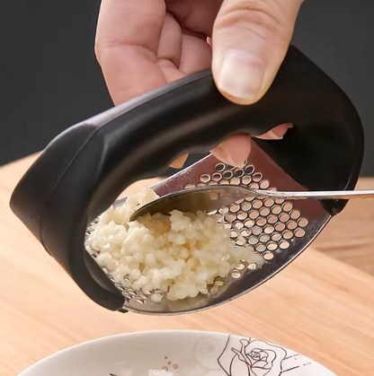 Stainless Steel Garlic Press 10cm, Heavy Duty Mincer for Garlic Ginger, Easy Clean Kitchen Gadget